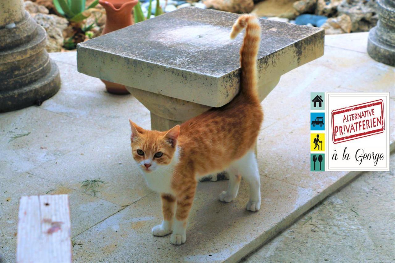 Isminis Petroktisto Holidays Stonehouse Palehóri Kültér fotó